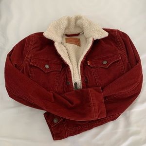 Genuine Levi’s Corduroy Sherpa Trucker Jacket NEW